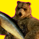 Image for article titled Kuma Is The Best Character In The Tekken Series